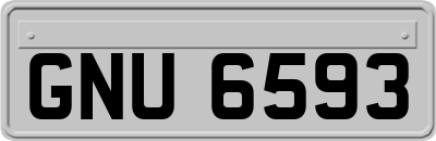GNU6593
