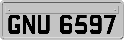 GNU6597