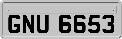 GNU6653