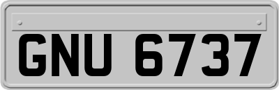 GNU6737