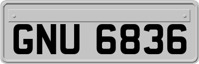 GNU6836