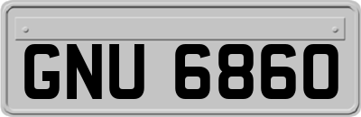 GNU6860