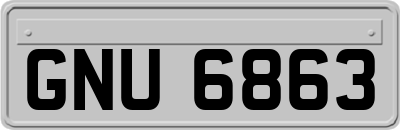 GNU6863