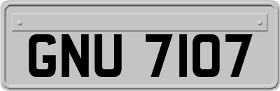 GNU7107