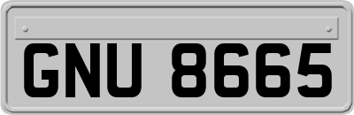 GNU8665