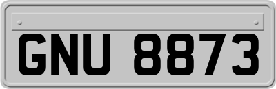 GNU8873