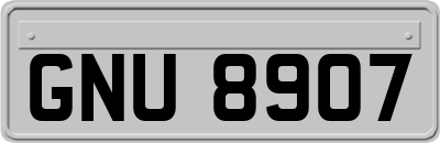 GNU8907