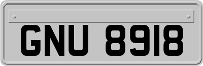 GNU8918