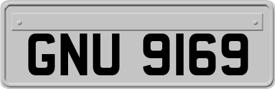 GNU9169