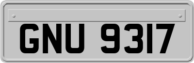 GNU9317