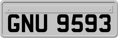 GNU9593