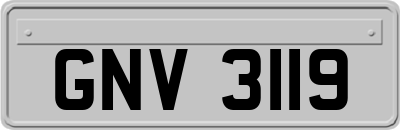 GNV3119