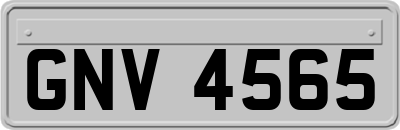 GNV4565