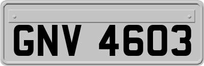 GNV4603