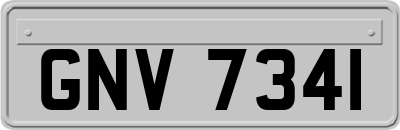 GNV7341