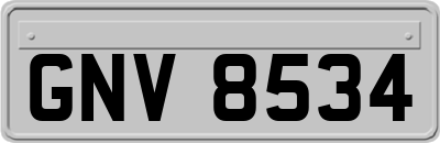 GNV8534