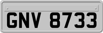 GNV8733
