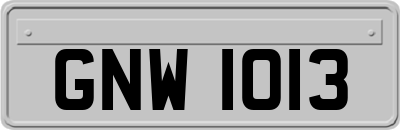 GNW1013