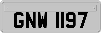GNW1197