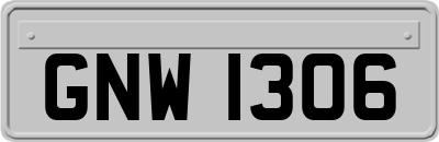 GNW1306