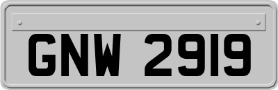 GNW2919