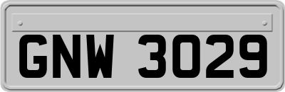 GNW3029