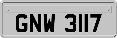GNW3117