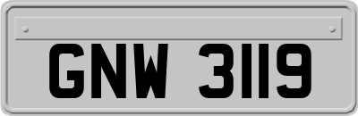 GNW3119