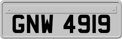 GNW4919