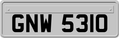 GNW5310