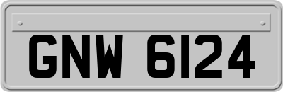 GNW6124