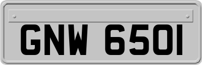 GNW6501