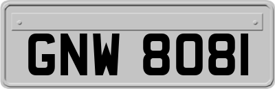 GNW8081