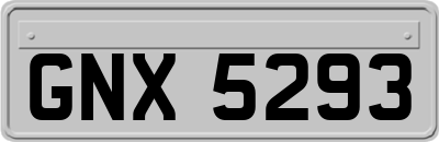 GNX5293