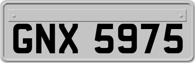 GNX5975