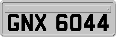 GNX6044
