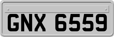 GNX6559