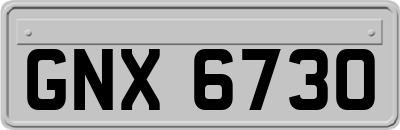 GNX6730