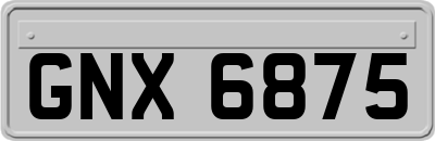 GNX6875