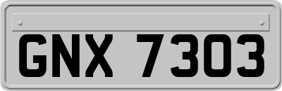 GNX7303