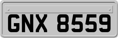 GNX8559