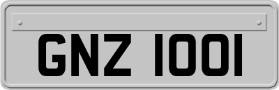 GNZ1001