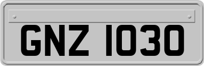 GNZ1030