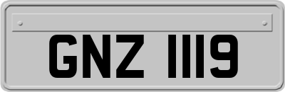 GNZ1119