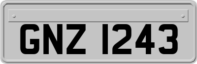 GNZ1243