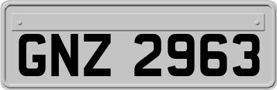 GNZ2963