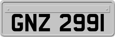 GNZ2991