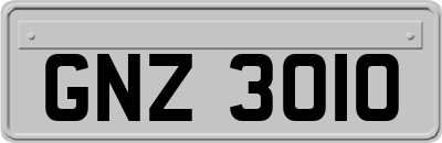 GNZ3010