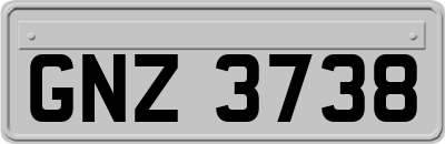 GNZ3738