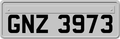 GNZ3973